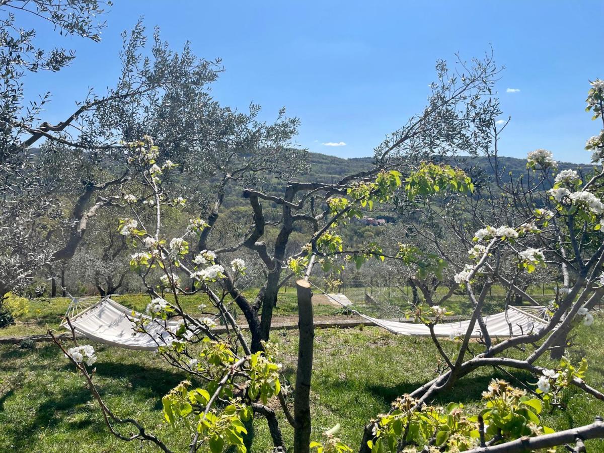 Olea Mar Apartma Pobegi Exteriér fotografie
