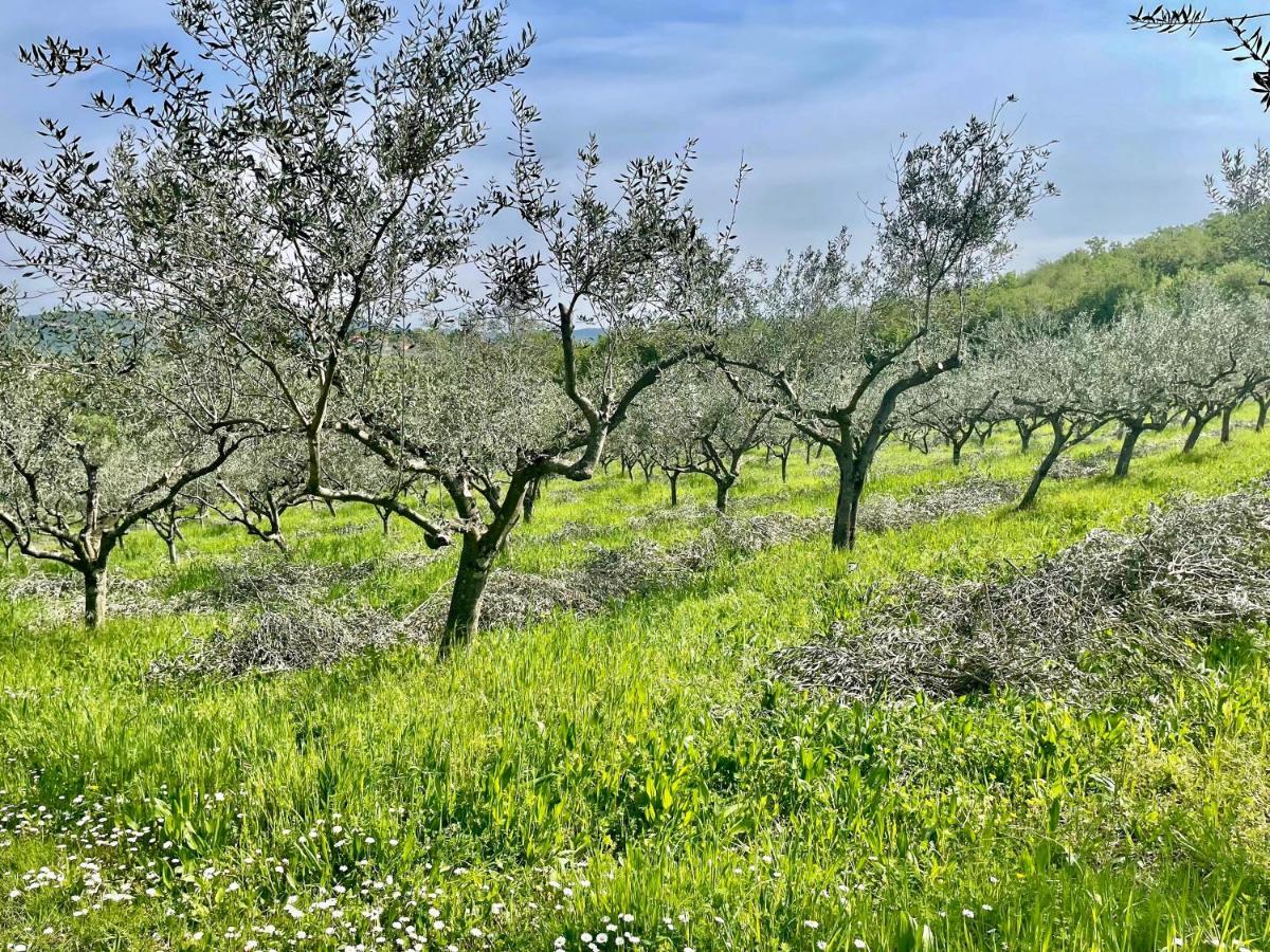Olea Mar Apartma Pobegi Exteriér fotografie