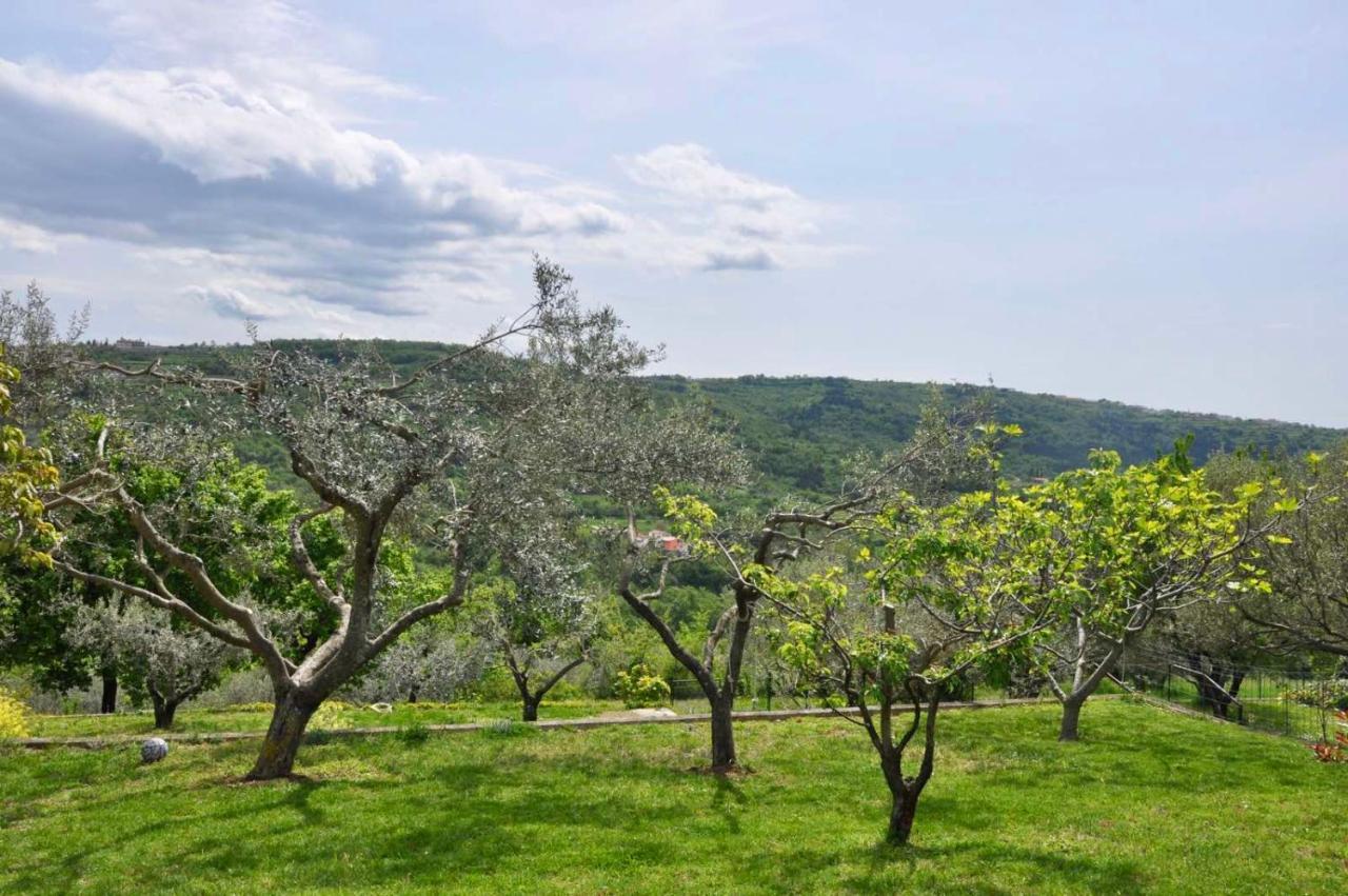 Olea Mar Apartma Pobegi Exteriér fotografie